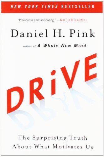 14-Drive, Yazar: Daniel H. Pink